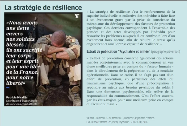 La stratégie de résilience